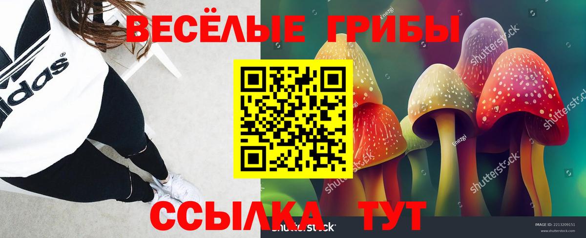 Галлюциногенные грибы Psilocybe Благодарный